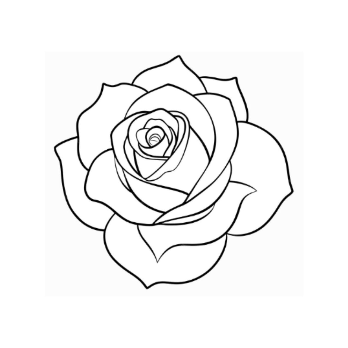 Collezione Rose