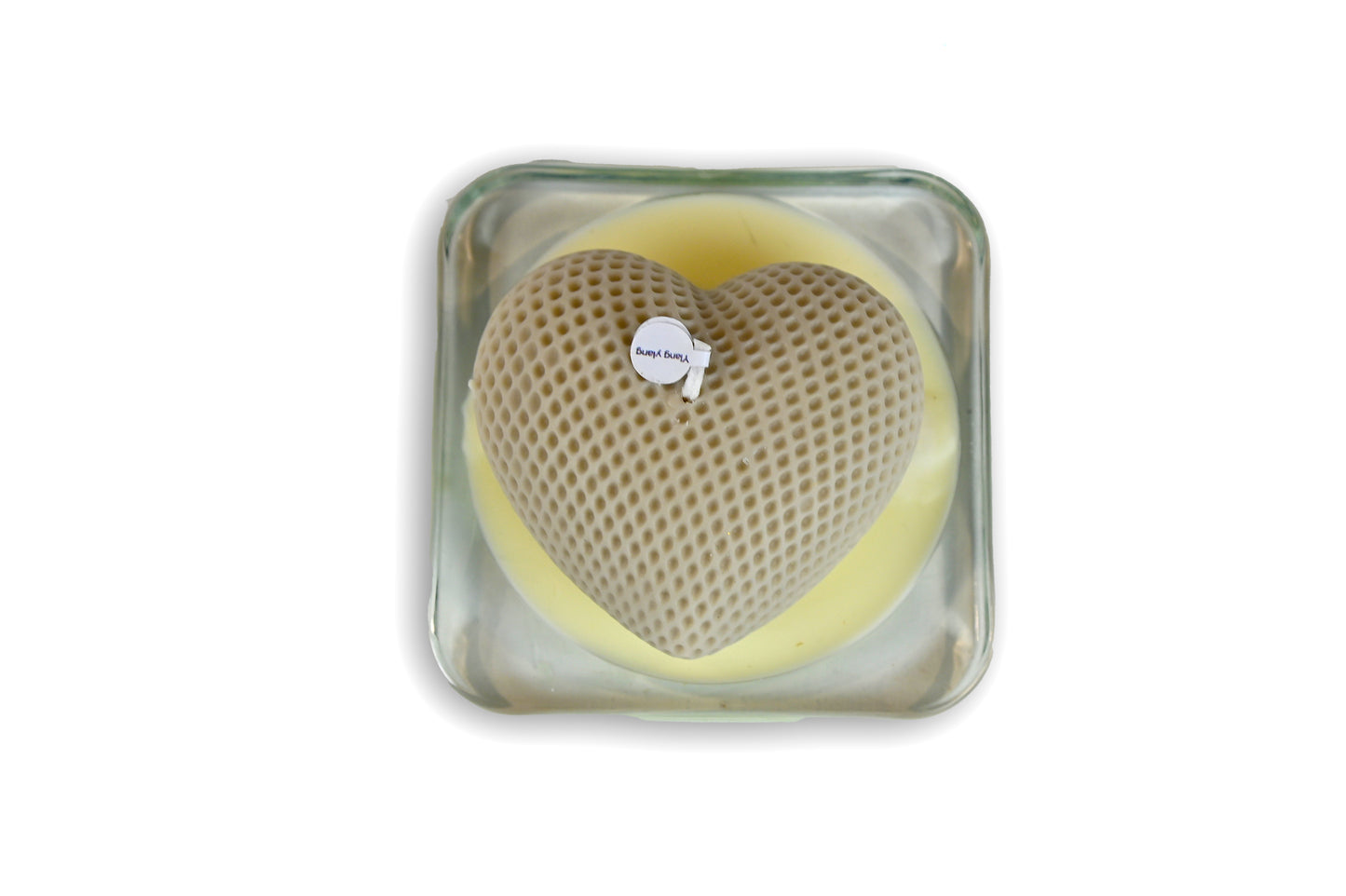 The Light - CUORE